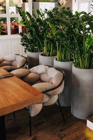 картинка Кресло Серпентин от компании CORSASTYLE